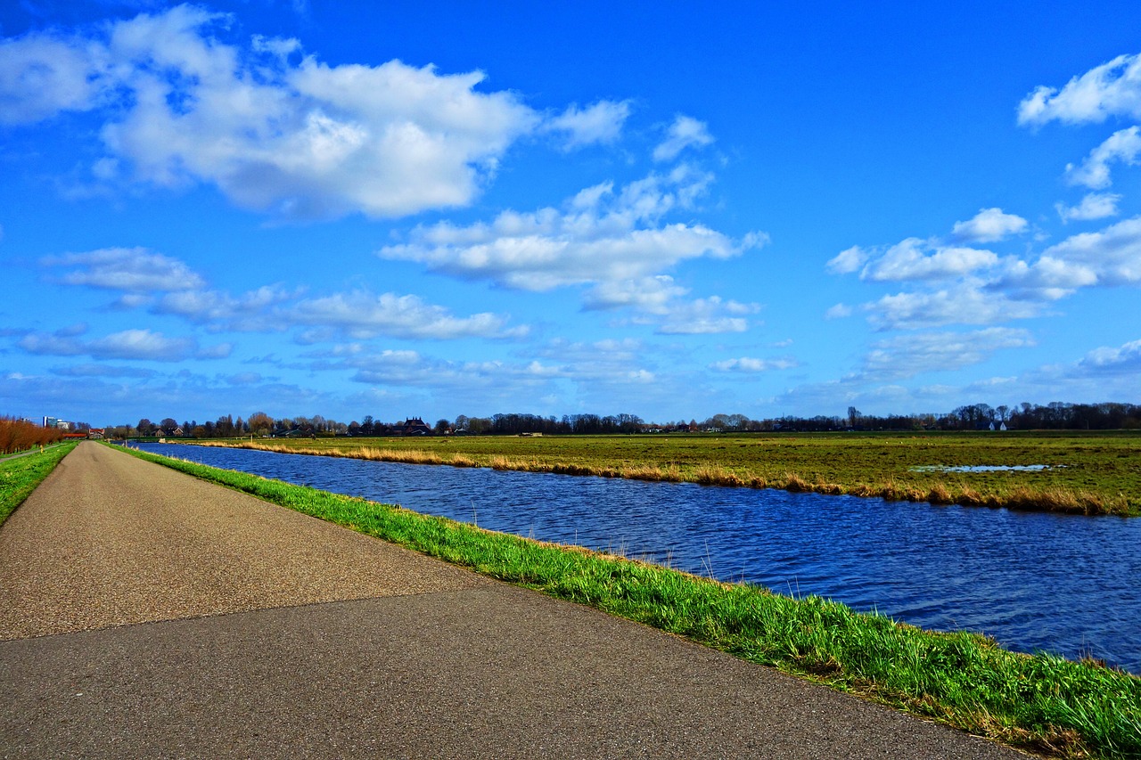 Discovering the Best Dutch Stroopwafels